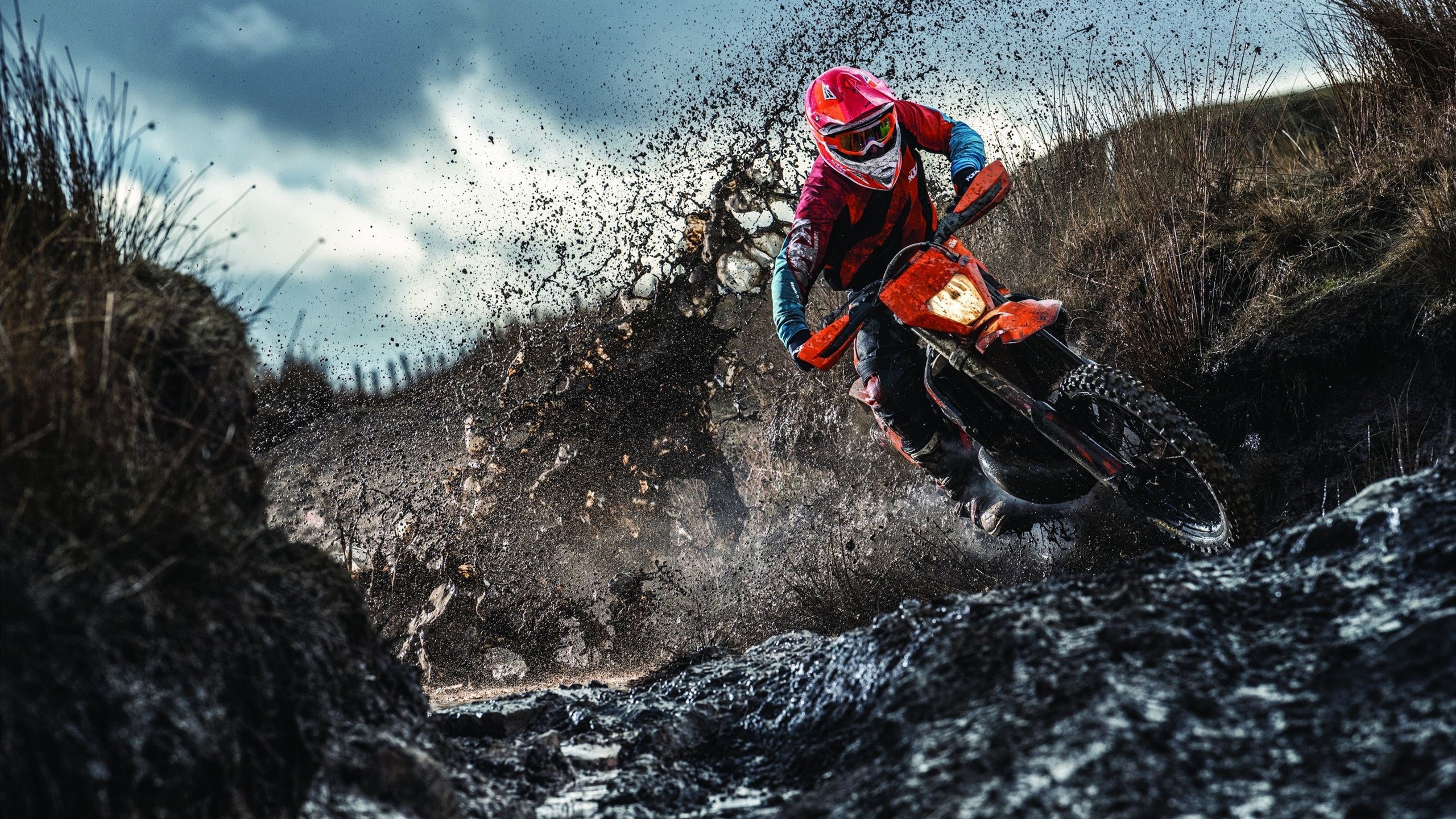 Jiuyou-弗朗索瓦·斯图尔特：南非队进攻的关键一环，攻击力与防守力并重